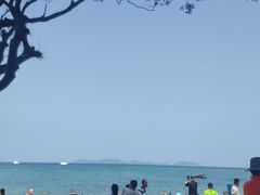 -杨梅坑