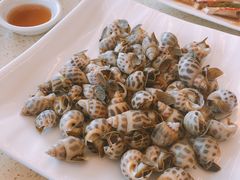 花螺-渔中舟海鲜大排档(普陀沈家门店)