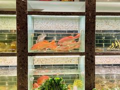 -甄御•海鲜新青岛菜(麦岛店)