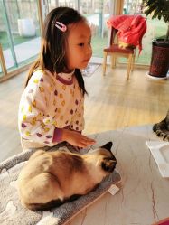 -萌宠亲子动物乐园(槐房万达店)