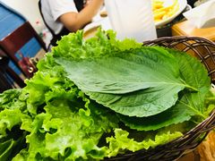 紫苏-高基五春川炒鸡排 韩国料理(威海总店)
