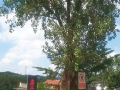 -房干生态旅游风景区