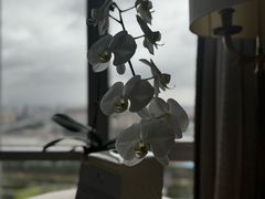 -广州富力丽思卡尔顿酒店