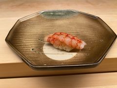 -焘