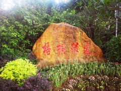 -梧桐山风景名胜区