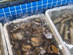 -芦潮港集贸市场