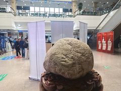 -上海市东方医院-体检中心