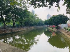 -晓港公园