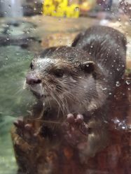 -Zoolung Zoolung动物主题公园(海信广场店)