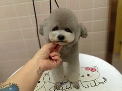 -FAELING PETS美天灵宠物(富力广场店)