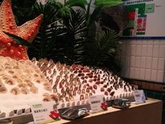 -亚马逊环球美食百汇(新城吾悦广场店)