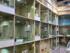 -屋虎猫馆(宝安大仟里店)