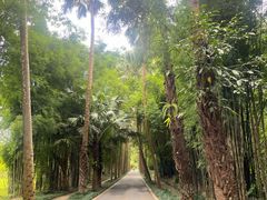 -中国科学院西双版纳热带植物园