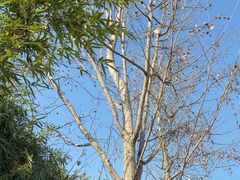 -东钱湖旅游度假区