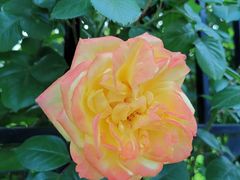 -北京园博大酒店