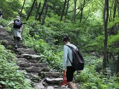 -王顺山国家森林公园