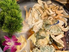-一朵菌·野生菌探索家火锅(南亚店)