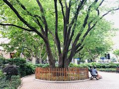 -徐家汇源景区-衡山公园