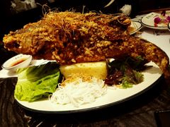 -美奈小馆·越南料理(福田星河COCO Park店)