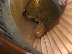 -金悦足道(宝岗大道店)