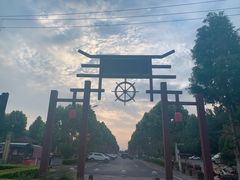 -合肥滨湖国家森林公园