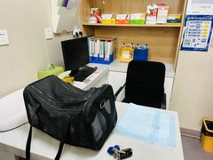 -瑞派宠物医院·犬猫全科·猫友好(宾水西道店)