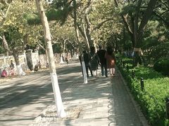 -八大关景区