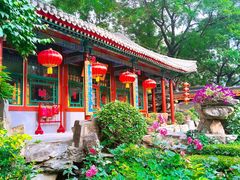 -白家大院·王府宫廷菜(苏州街店)