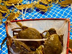 -驻海渔市(置信店)