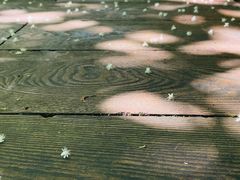 -赤水丹霞旅游区·大瀑布