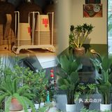 袁妈红豆汤推荐