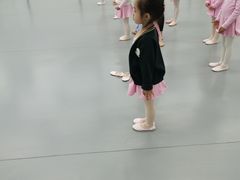 -中央芭蕾舞团·中芭艺蕾(酒仙桥明星校区)