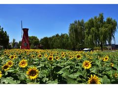 -廊坊文化艺术中心