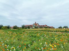 -歌斐颂巧克力小镇