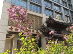 -七彩云南庆沣祥茶庄(金融街店)