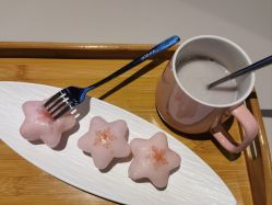 -瑞婴丽月子中心(虹桥店)