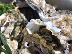 -千岛蚝高压锅生蚝·人参火锅(白云万达店)