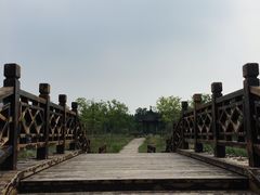 -南湖湿地公园