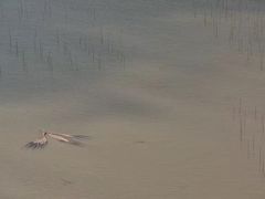 -小皓村