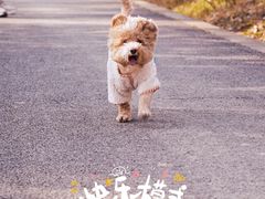 -广富林郊野公园