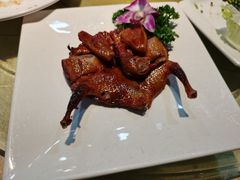 琵琶乳鸽-五邑人家(江门店)