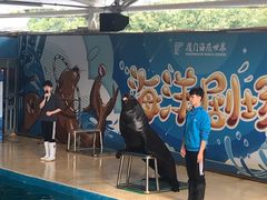 -厦门海底世界