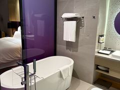 -南京禄口机场雅高铂尔曼大酒店