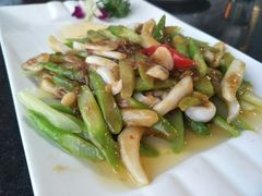 -云中小雅