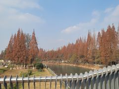 -蜀绣公园