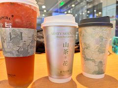 -雾与山茶(大禹城店)