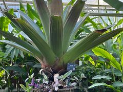 -国家植物园南园