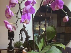 -荷风细雨·中国茶宴(碧云店)