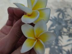 -三亚亚龙湾金棕榈度假酒店