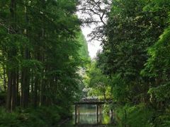 -东平国家森林公园